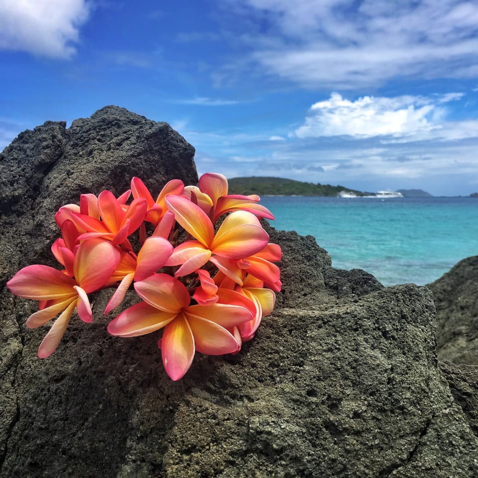 Flavors Straight from the Islands